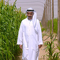 Saasdaari farm