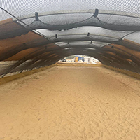 Saasdaari farm