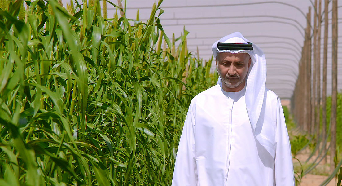 Fresh produce from the Saasdaari farms